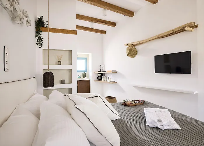 Syroc Maison エルムポリ